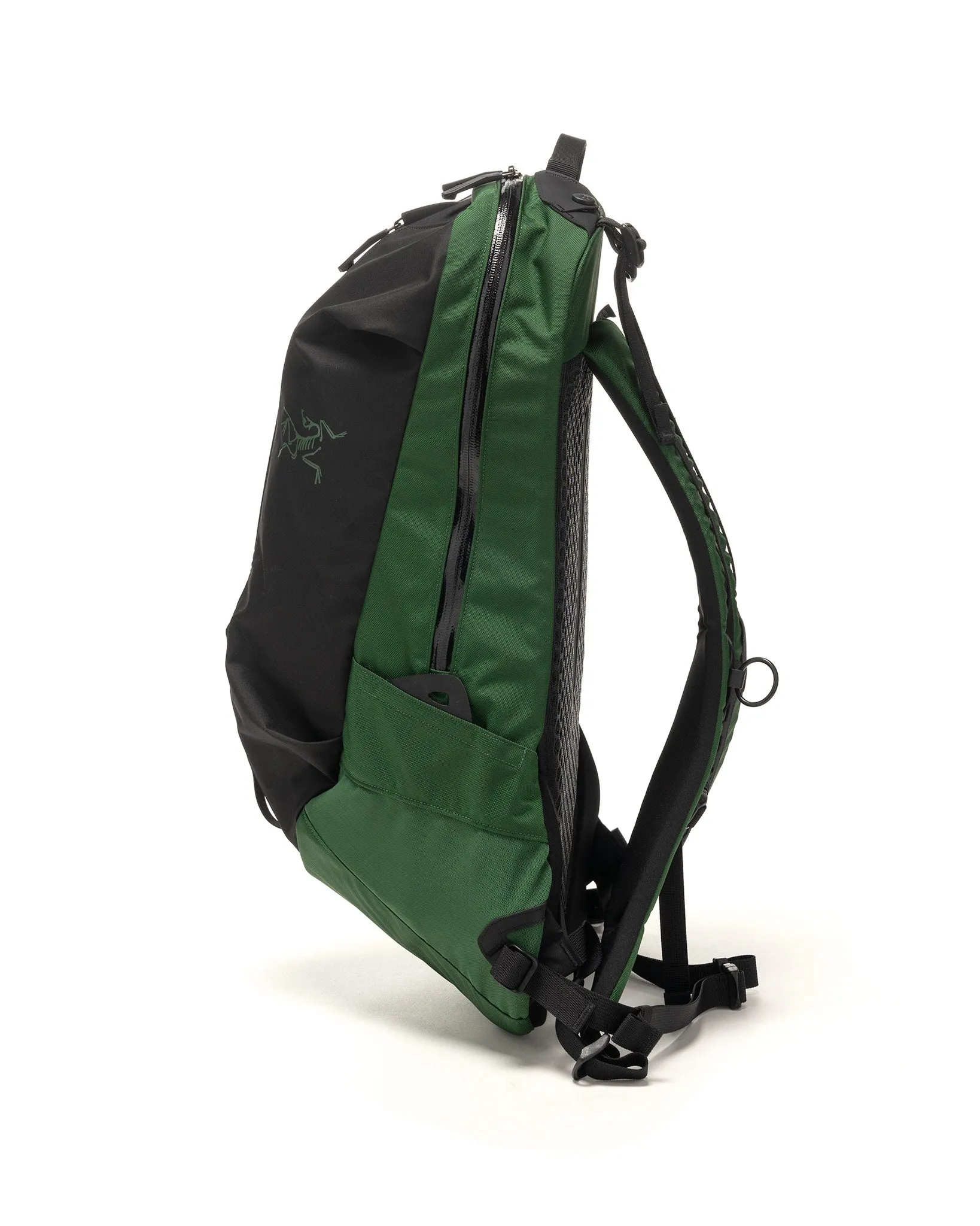 Arro 22 Backpack Eden