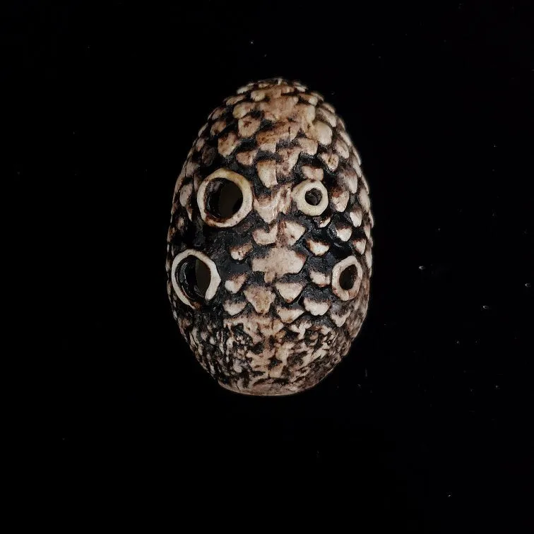 Dragon Egg