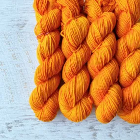 Persimmon - Cushy DK