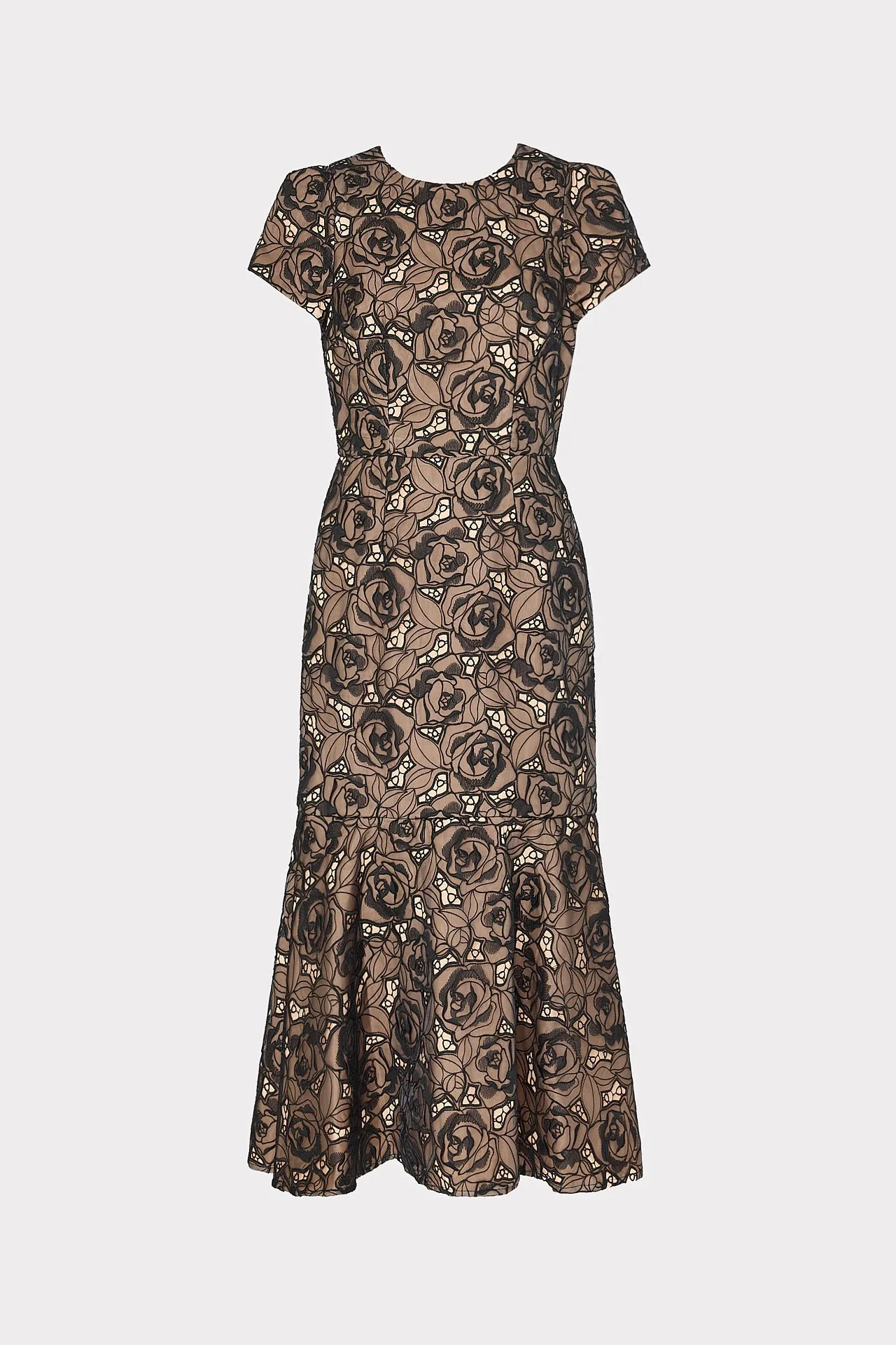 Tahlia Rose Mesh Embroidered Dress