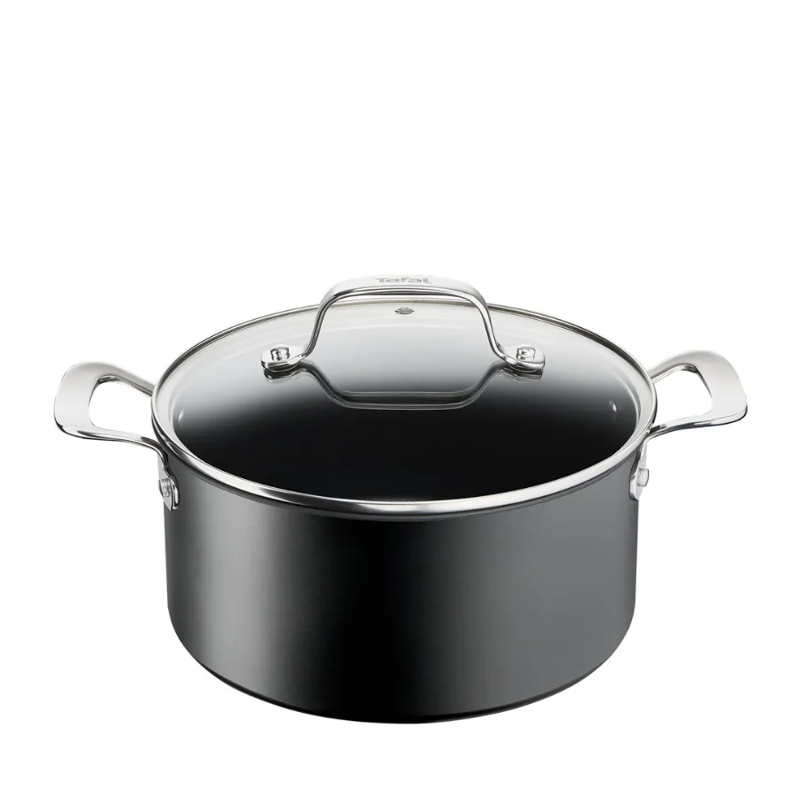 Tefal Unlimited Premium Non-Stick Induction Stewpot 24cm/5L   Lid